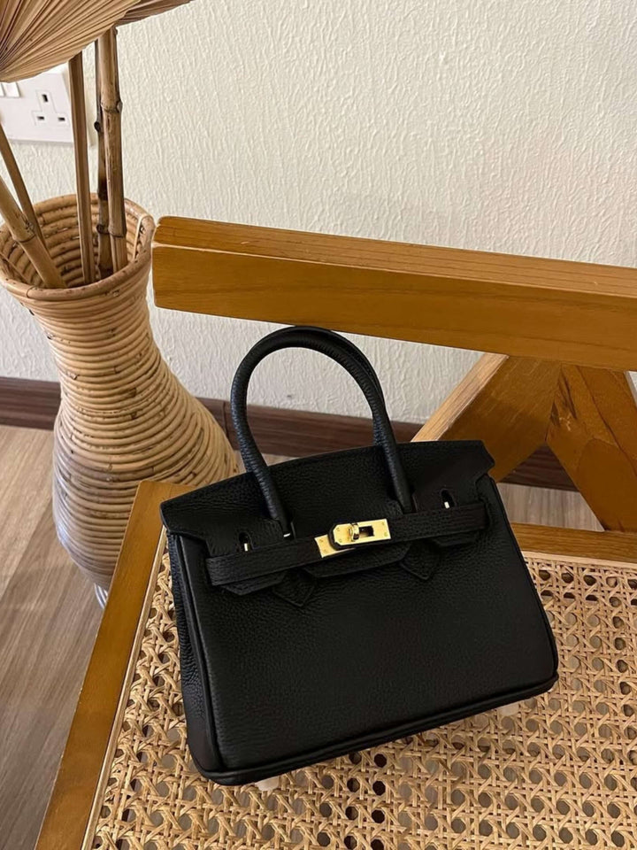 Colette | Structured Petite Lock Bag
