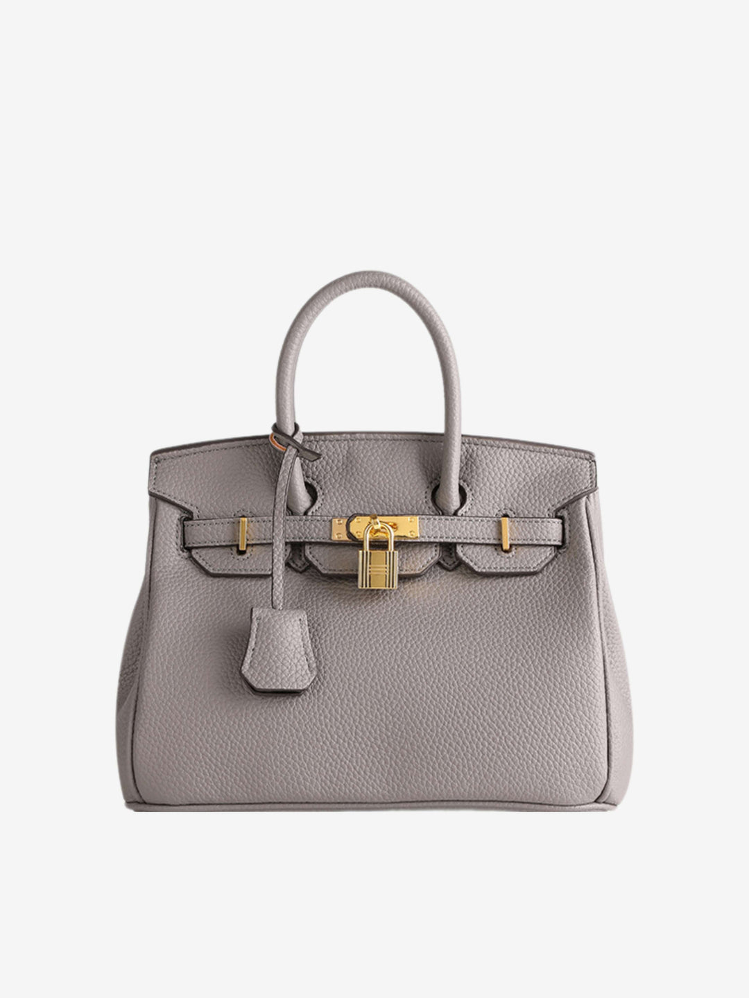Colette | Structured Petite Lock Bag